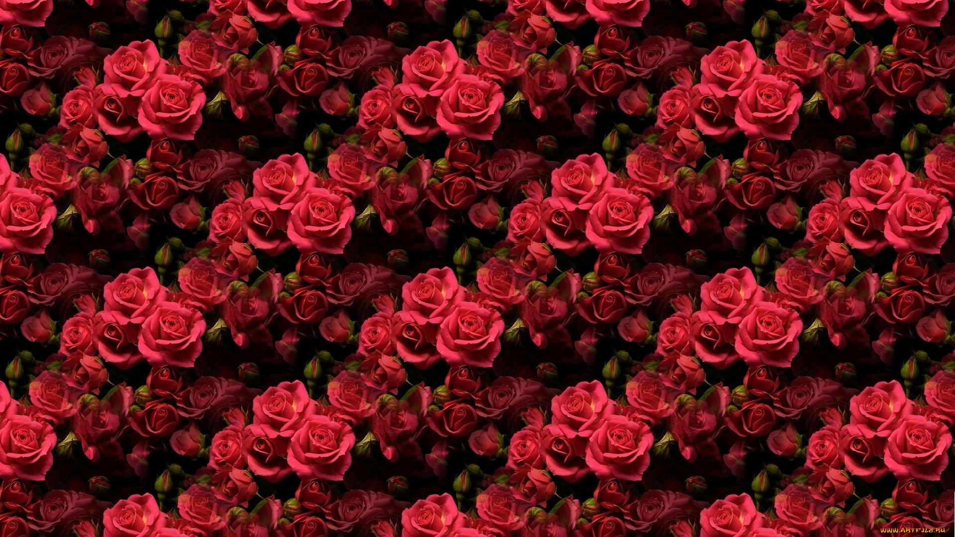 ,  , , , 